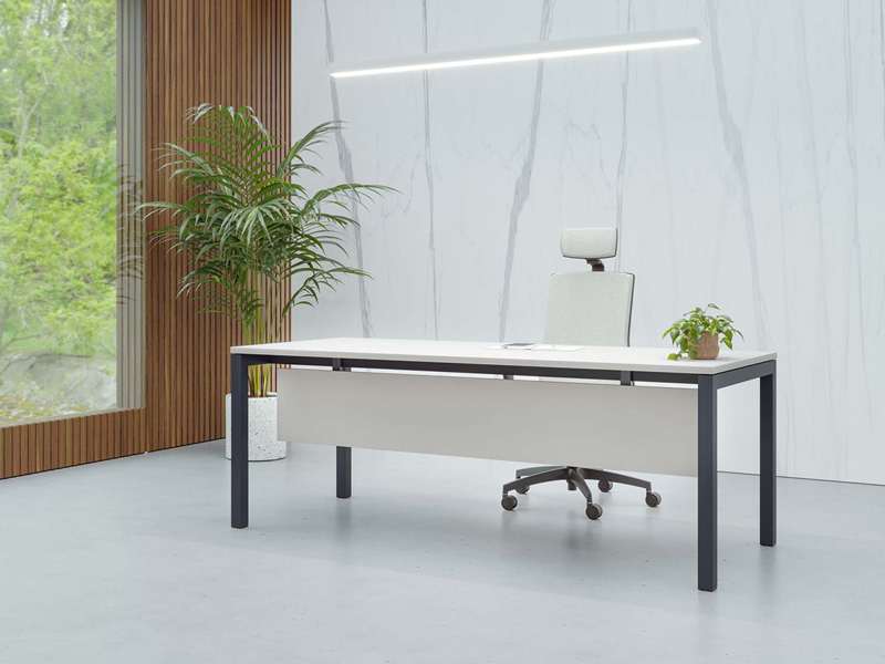 Mesa Nix