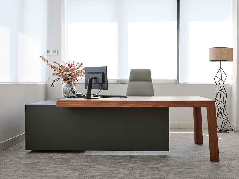 Mesa de Dirección Tola